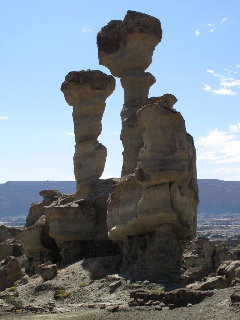 3405554422 087b2de30a b 1 - Ischigualasto – The Valley of the Moon.