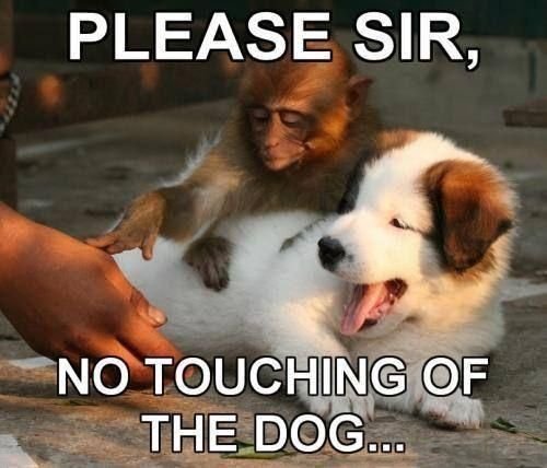 aaaaHandsoffplease-1.jpg