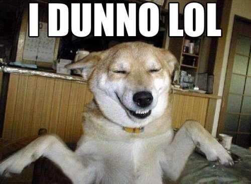 aaaaidunnolol-1.jpg