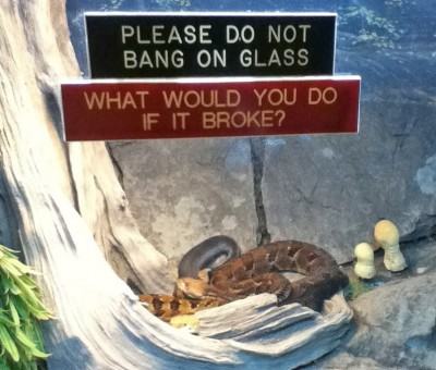 donotbangonglass400x340-1.jpg