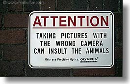 zoosigns5-1.jpg