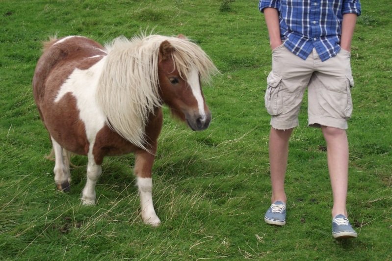 2011_0924wales0045-1.jpg