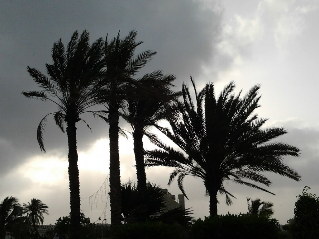 20120617180034-1.jpg