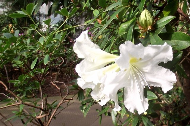 2012_03130091-1.jpg