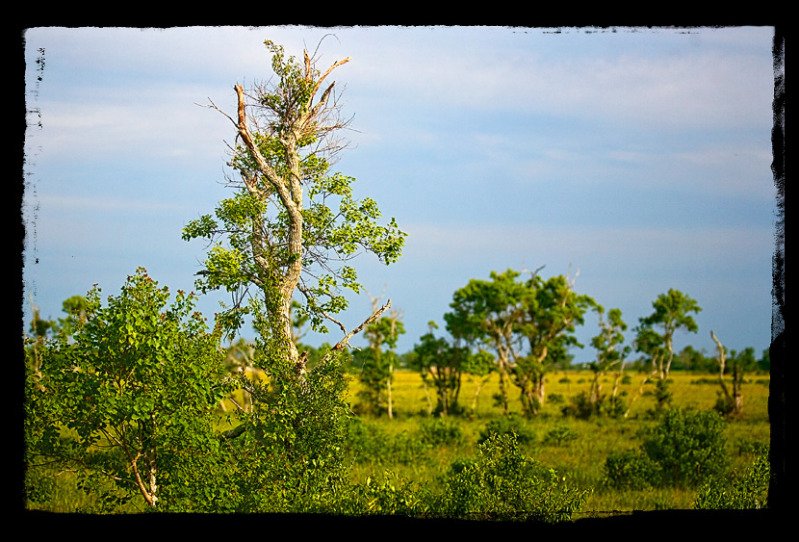 IMG_9576copy2-1.jpg