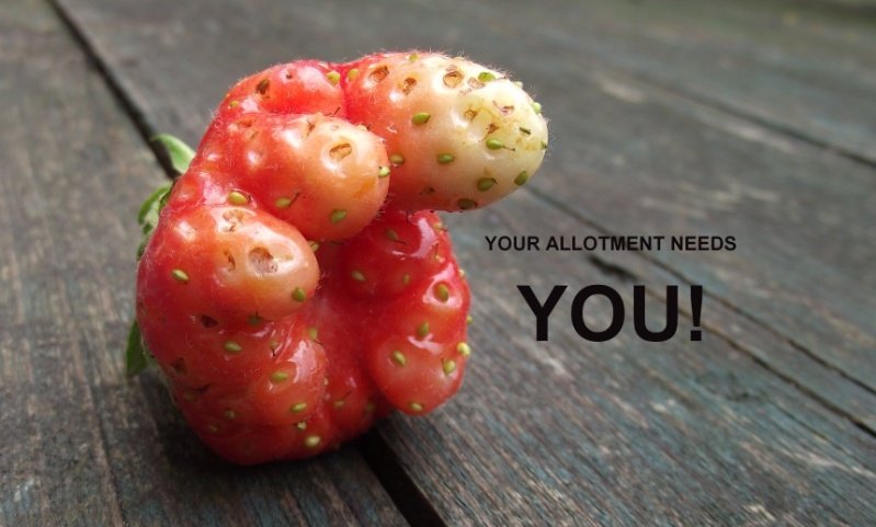 YourallotmentneedsYOU-1.jpg