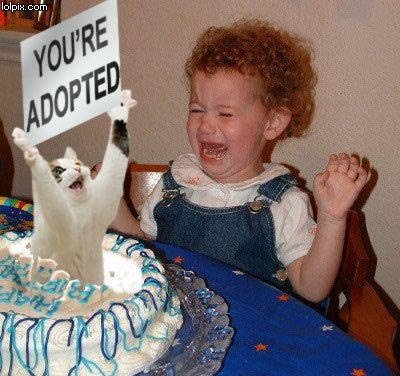 b385482funny_birthday-1.jpg