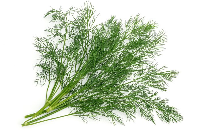 dill-1.jpg