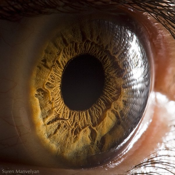 Macro_Eyeball_photos02-1.jpg