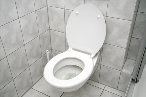 toilet1-1.jpg