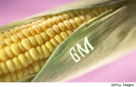 gmocorn 1 - Ready to be lied to about your food?