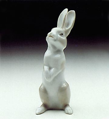 01000309-1.jpg