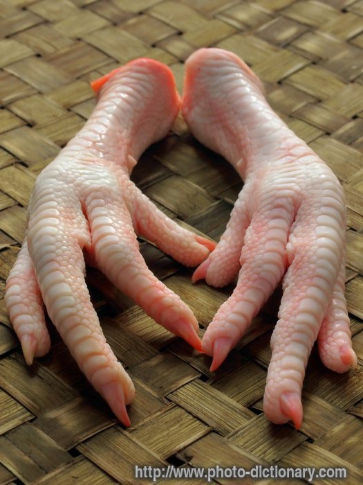 12025chicken feet 1 - Turd burgers