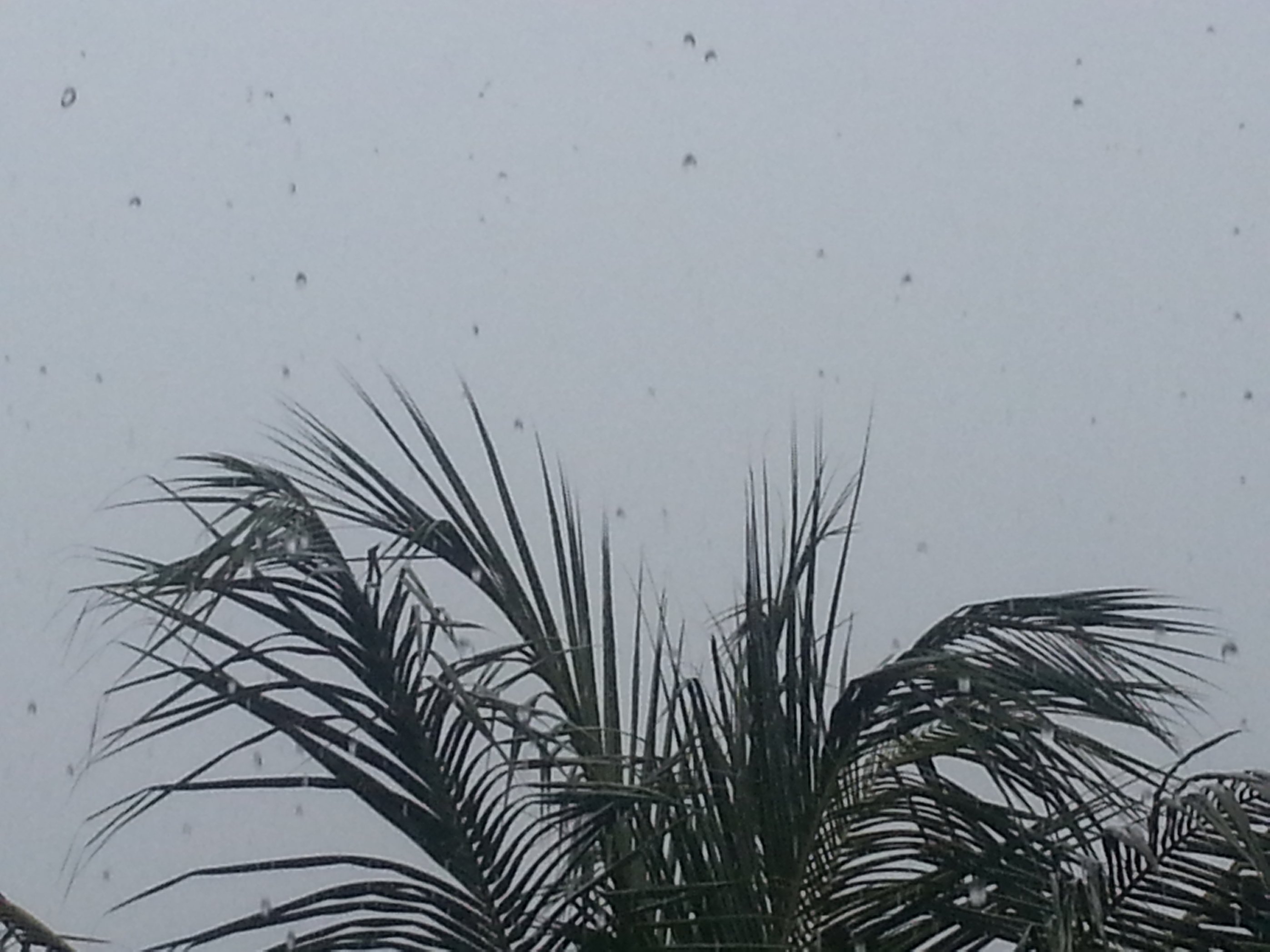 20120101_000310-1.jpg