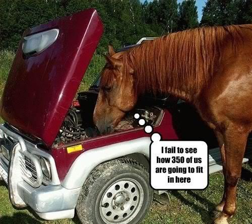 funny_animals_thoughts6-1.jpg