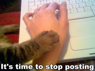 itstimetostoppostingcatcatskittenkittypi-1.jpg