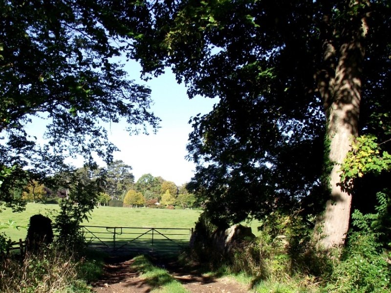 141012_1-1.jpg
