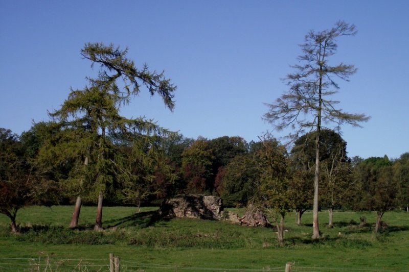 141012_3-1.jpg