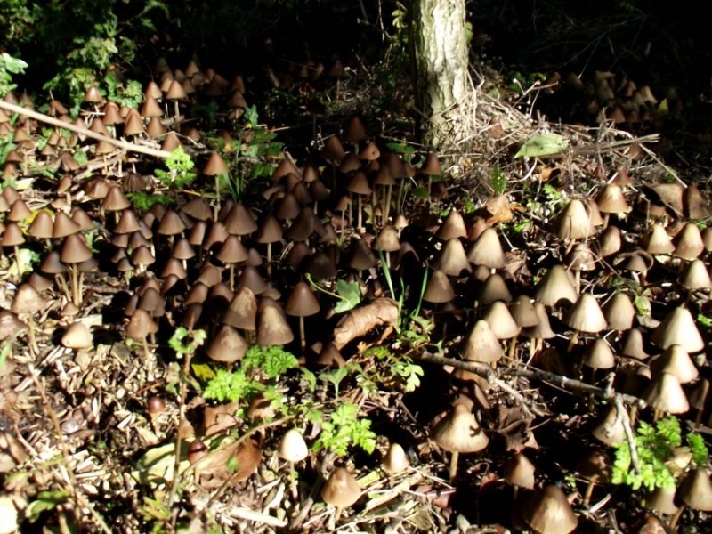 141012_6-1.jpg