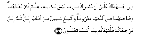 31 15 1 - Quranic Verses About The Sahaba's RA.