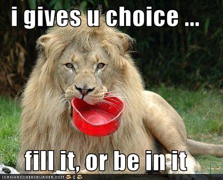 67063_funnypicturesliongivesyouachoice-1.jpg