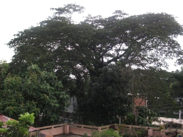 DSCF1631-1.jpg