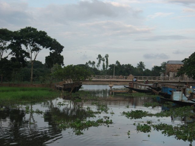 DSCF1947-1.jpg