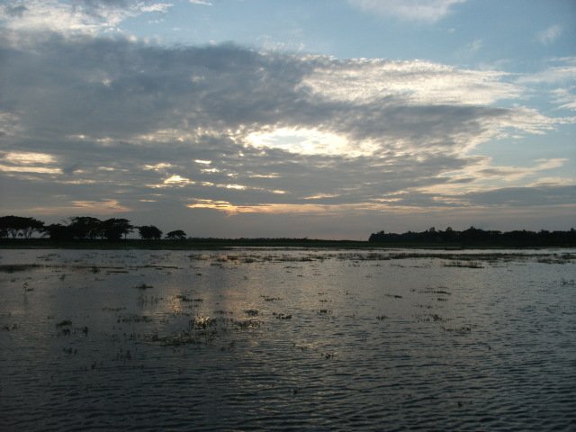 DSCF1981-1.jpg