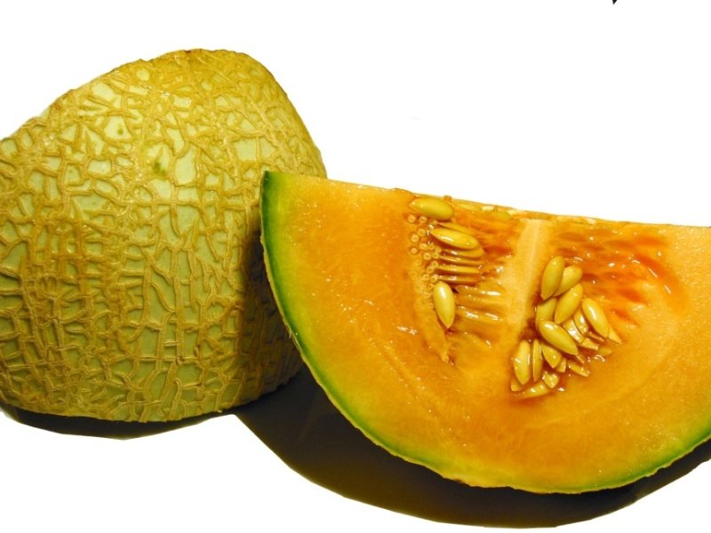 Melonslice-1.jpg