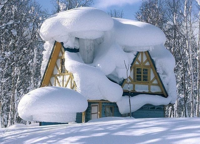 SnowOverload894-1.jpg