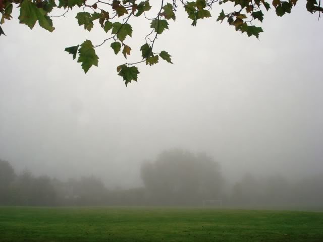fog15_zpsf05630b9-1.jpg