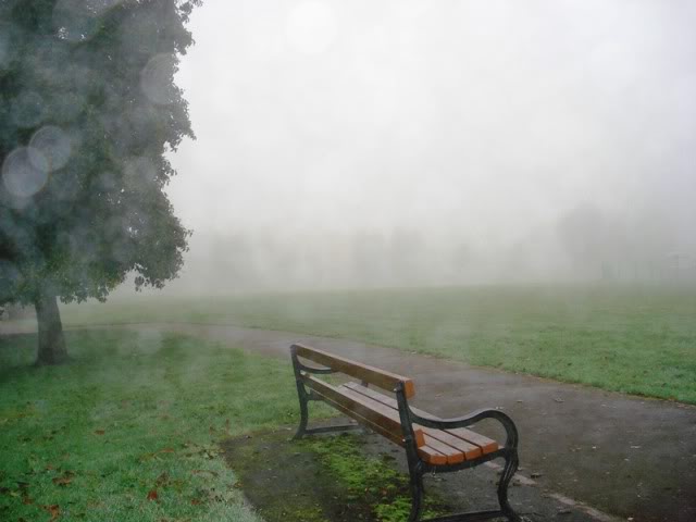 fog17_zps94b5c154-1.jpg