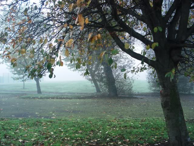 fog6_zps05ea662b-1.jpg