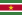 22pxFlag_of_Surinamesvg-1.png