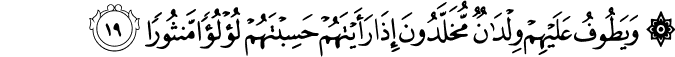 76 19 1 - Daily Haramayn Shareefayn Salaah Recitations ** WITH TRANSLATION**