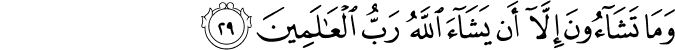 81_29-1.png