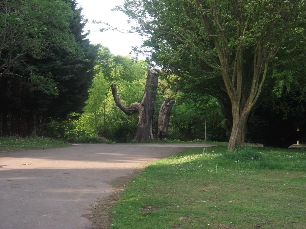 DSCF0294-1.jpg