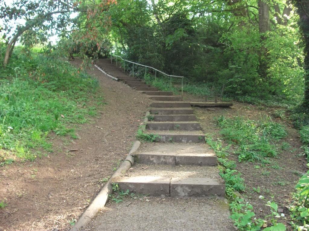 DSCF0306-1.jpg