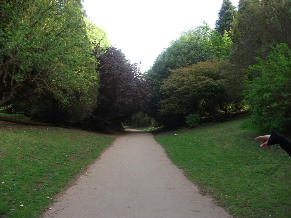 DSCF0309-1.jpg