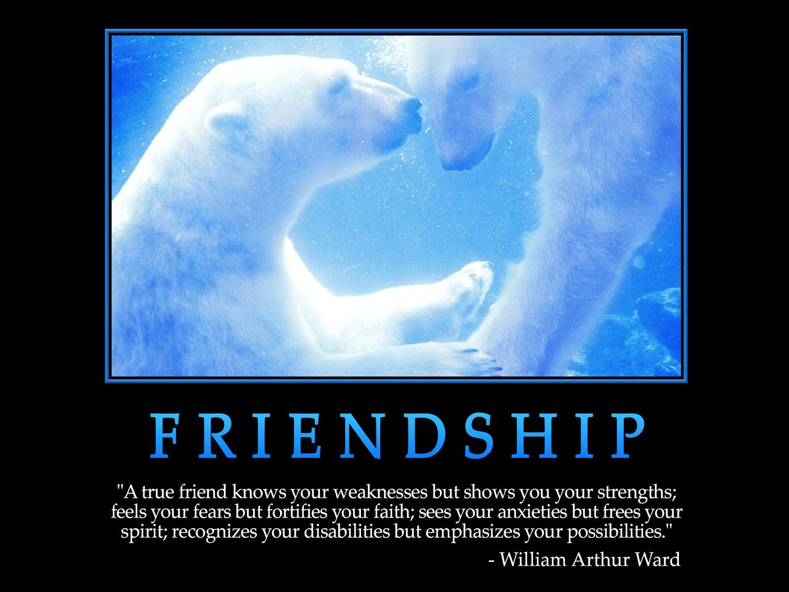 Picture20Quotes207-1.jpg
