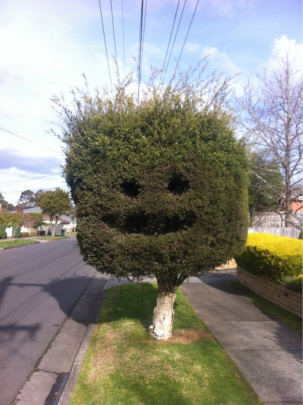 abaaHappytreeishappy-1.jpg