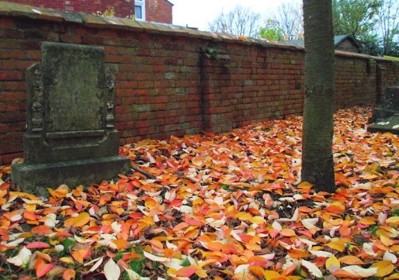 leaves-1.jpg