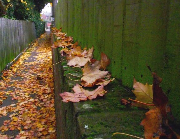 nov201220alley-1.jpg