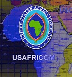 AFRICOM233x250 1 - Behind the U.S. Targeted Killing Program