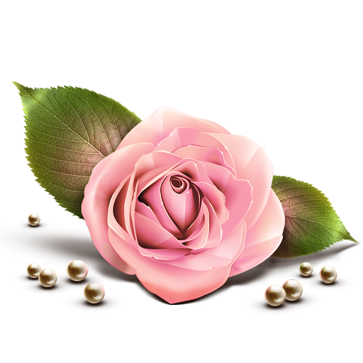 Iconty_com_302_663_rose_by_Artdesigner-1.png