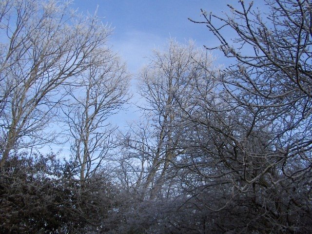 dec12-1.jpg