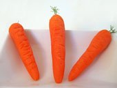 marz_carrots-1.jpg