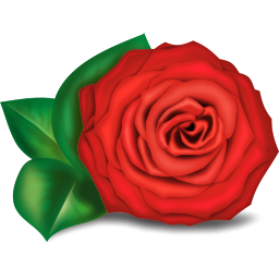 rose2 1 - Want Allah to Forgive You? Forgive Others