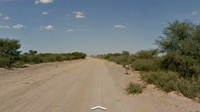396927donkeystandinggooglemaps-1.gif