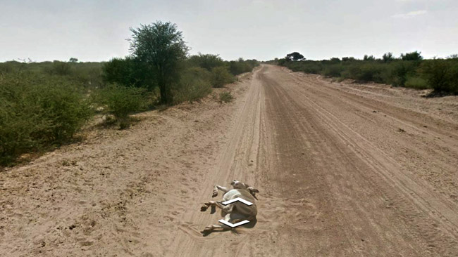399186donkeydowngooglemaps-1.gif